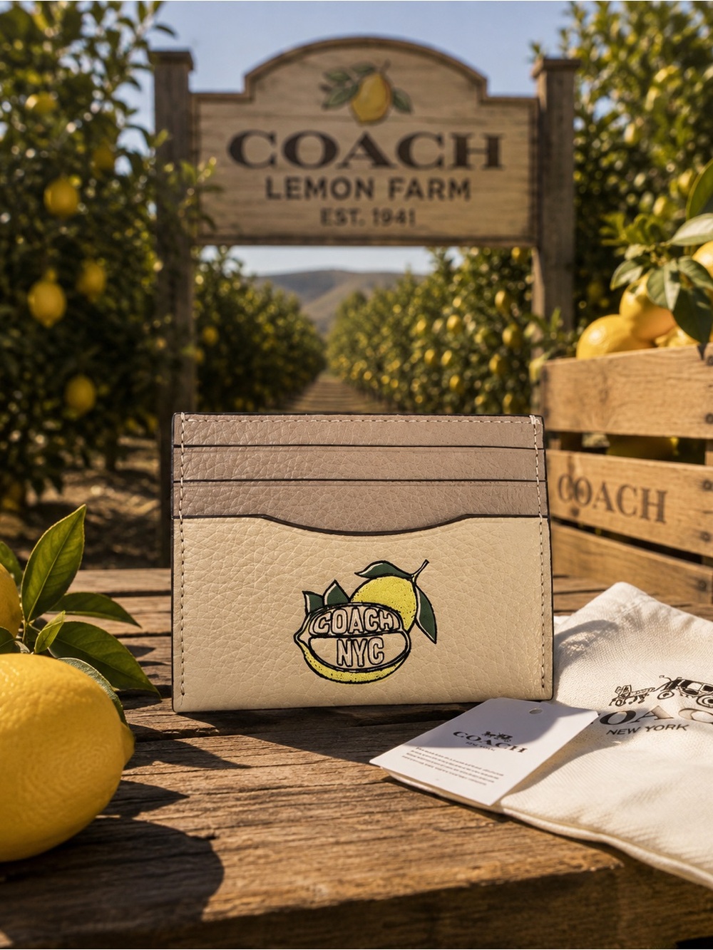 Coach Slim ID Card Case with Lemon Graphic